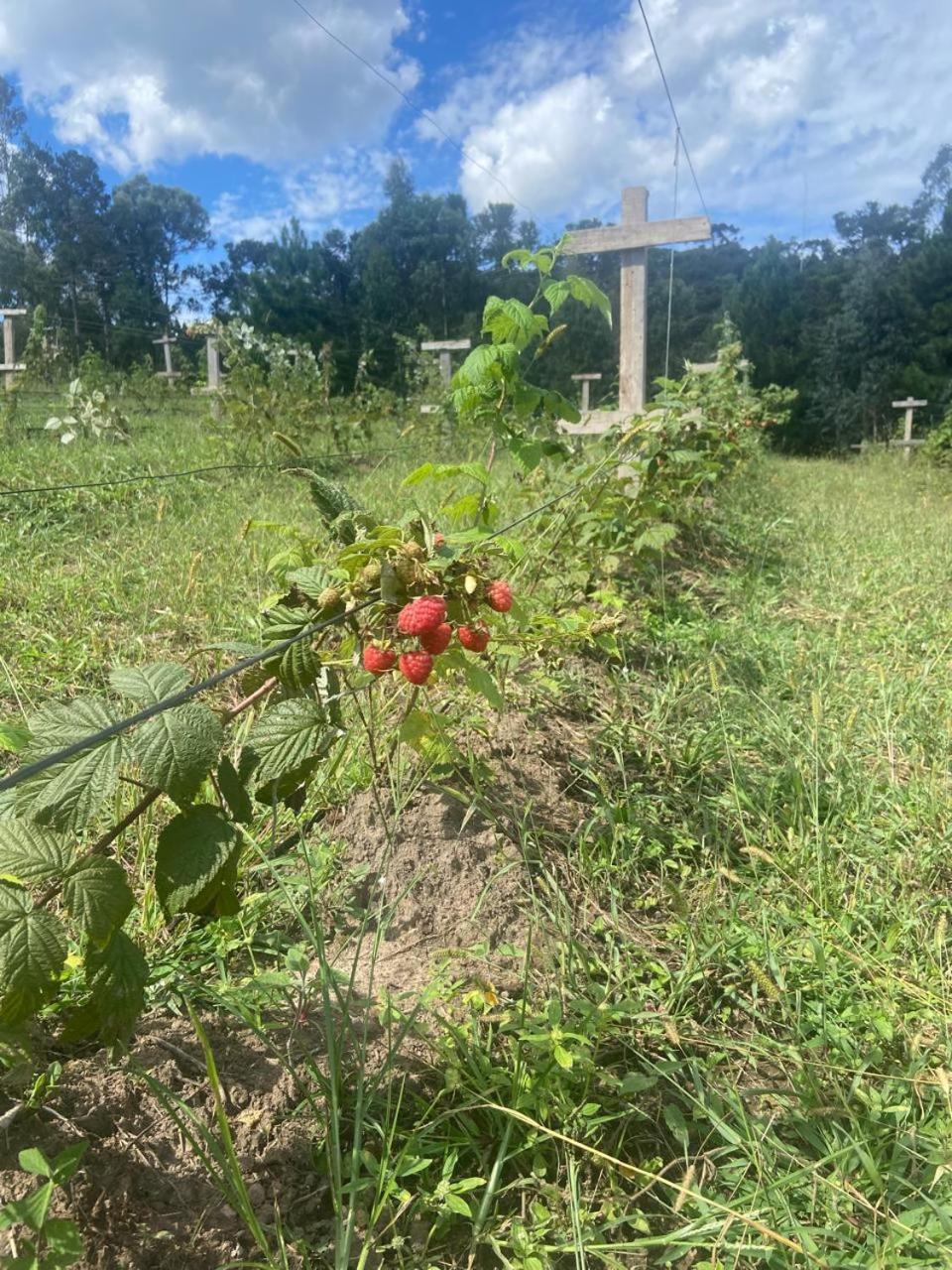 Cabana Recanto Do Physalis Rio Rufino Kültér fotó